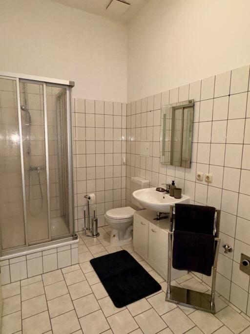 Wohnung Im Zentrum 1 马格德堡 外观 照片